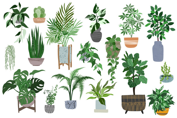Big set of home plants in pots, scandi style - Vector, imagen