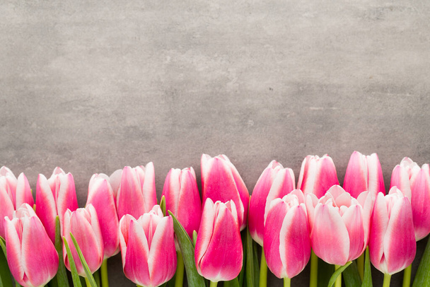 Tulips on the grey  background. - Foto, Imagem