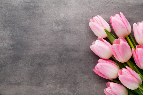  Pink tulips on the grey  background. - Zdjęcie, obraz