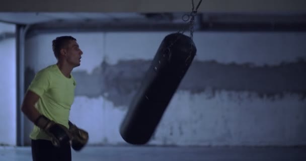 portret zdecydowany bokser, przygotowuje się do walki, szkolenia i ćwiczenia - Materiał filmowy, wideo