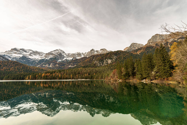Jezioro Tovel (Lago di Tovel) i dolomity Brenta (Dolomiti di Brenta) w Alpach Włoskich, Park Narodowy Adamello Brenta. Trentino Alto Adige, prowincja Trento, Włochy, Europa. - Zdjęcie, obraz