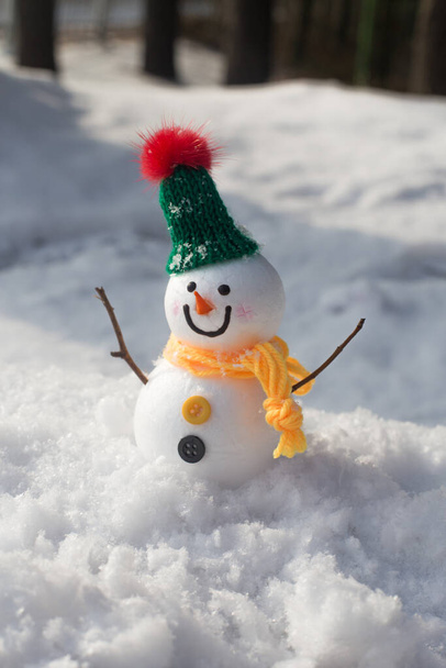 schattig sneeuwpop staan op besneeuwd veld in de winter - Foto, afbeelding