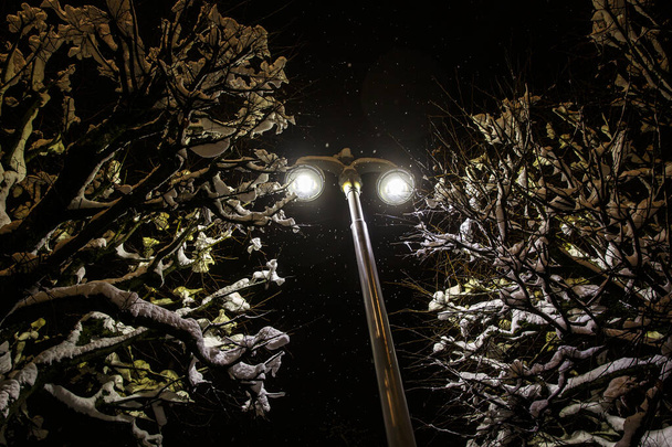 Modern utcai lámpa télen. Hó a fák között - Fotó, kép
