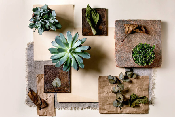 Creative layout abstract geometry empty squares by nature materials paper, textile, wood, stone with succulent plants. Flat lay. Space for any products. Advertising eco-friendly concept - Foto, afbeelding