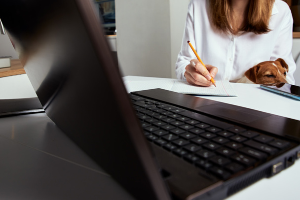 Женщина работает дома и использует ноутбук. Концепция онлайн-образования и электронного обучения - Фото, изображение