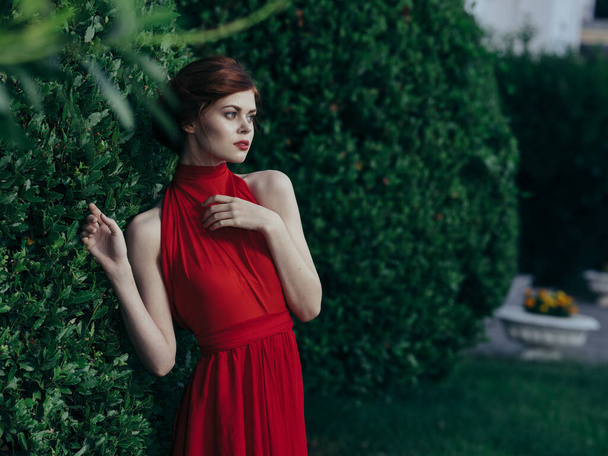 Красивая женщина в красном платье на открытом воздухе возле куста роскошь очарование - Фото, изображение