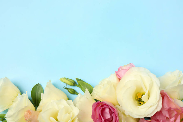 Beautiful Eustoma flowers on light blue background, flat lay. Space for text - Zdjęcie, obraz
