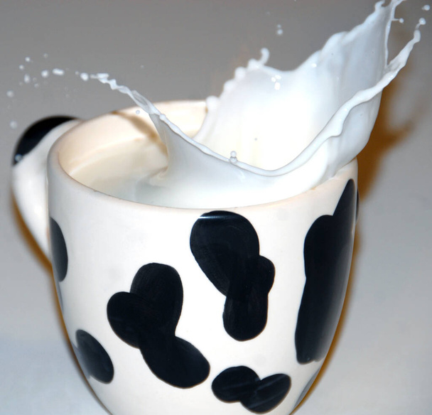 rozprysk mleka w filiżance z kolorami krowy. - Zdjęcie, obraz