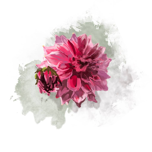Beautiful background with hand-drawn delicate watercolor painting of red and pink dahlias. Stock drawing. - Фото, зображення