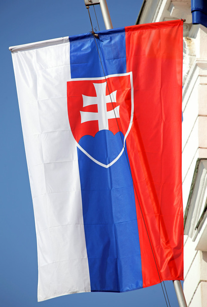 Bandera nacional eslovaca
 - Foto, Imagen