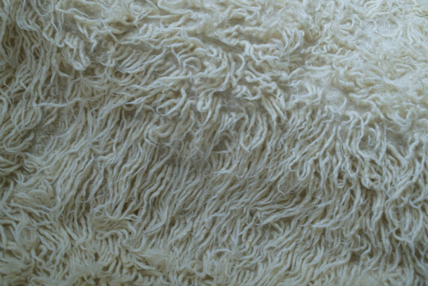Útulné načechrané pozadí v krémové tóny. Bílá vlna s bílou horní texturou pozadí, lehká přírodní ovčí vlna, textura nadýchané kožešiny, zblízka fragment bílý vlněný koberec - Fotografie, Obrázek