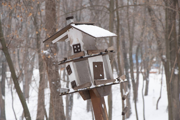 bird house in winter in parks on the tree in Ukraine - Photo, Image