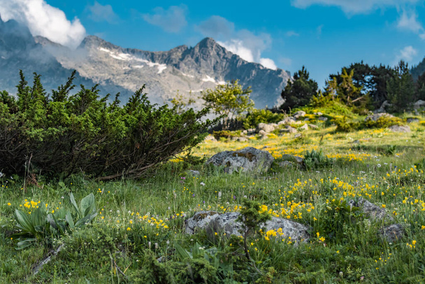 Величезний і красивий піренейський пейзаж влітку. - Фото, зображення