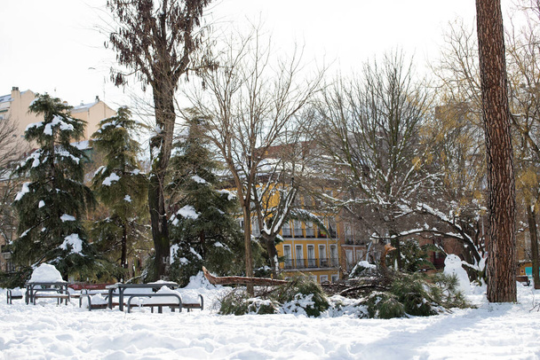 Historische sneeuwval in Madrid, hoofdstad van Spanje in januari 2021. Parque de Atenas zondag 10 januari - Foto, afbeelding