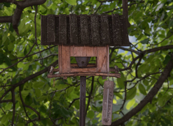 madárketrec vagy madáretető házikedvencként - Fotó, kép