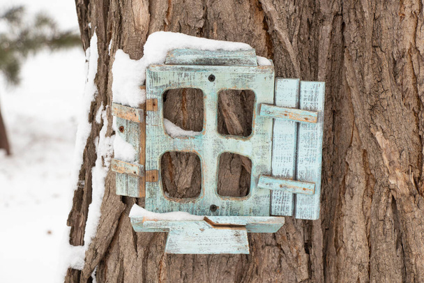 pequeña casa de madera de cuento de hadas en un árbol en un parque en invierno en la nieve - Foto, imagen