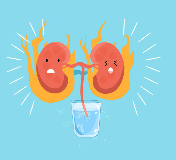 Kidney disease concept. Dehydration,impaired filtration.Cute kawaii human organ is suffered in fire.Nephrology.Pyelonephritis and renal failure illness.Cystitis,stone chronic illness.Vector.Drink more - Vector, Image