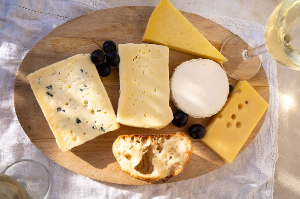 Колекція французького сиру на мармуровій дошці, emmental, carre de aurillac, petit cantal AOP Jeune, buche chevre і brie - Фото, зображення