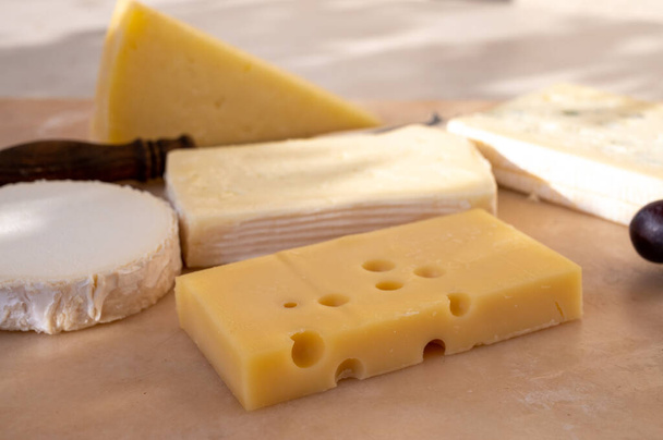 Coleção de queijo francês sobre placa de mármore, emmental, carre de aurillac, petit cantal AOP Jeune, buche chevre e brie - Foto, Imagem