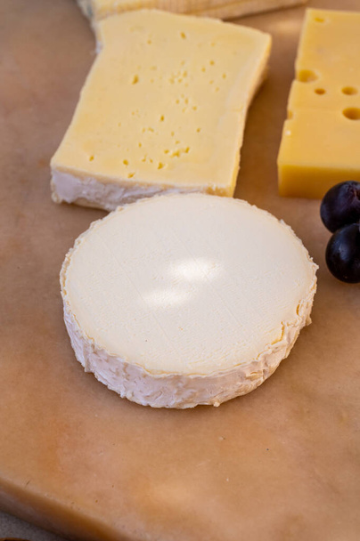 Ranskalainen juustokokoelma marmorilaudalla, emmental, carre de aurillac, petit cantal AOP Jeune, buche chevre ja brie - Valokuva, kuva