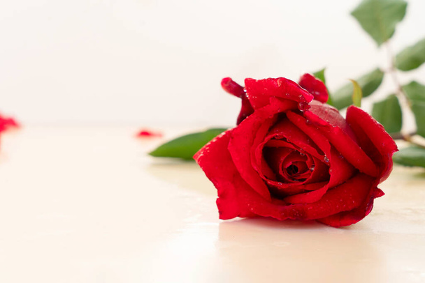 dark red roses on table - Fotó, kép