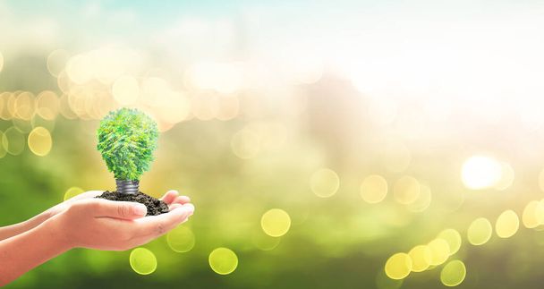 Концепция Всемирного дня окружающей среды: рука человека держит лампочку дерева на размытом фоне природы - Фото, изображение