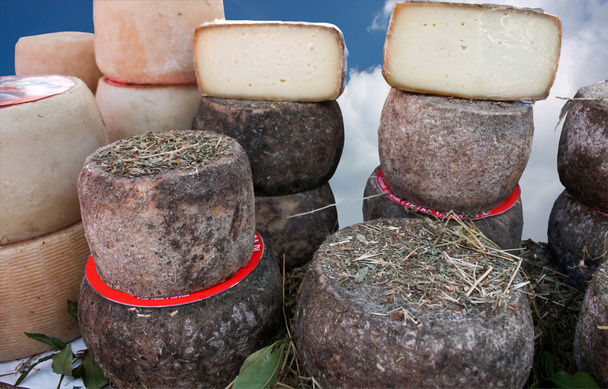 типичный итальянский сыр
 - Фото, изображение