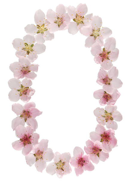 Numeral 0, zero, from natural pink flowers of peach tree, isolated on white background - Photo, image