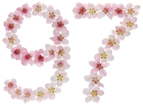 97-es szám, 97-es szám, természetes rózsaszín őszibarack virágokból, fehér alapon elszigetelve. - Fotó, kép