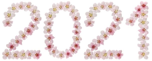 Napis 2021, z naturalnych różowych kwiatów brzoskwini, odizolowany na białym tle - Zdjęcie, obraz