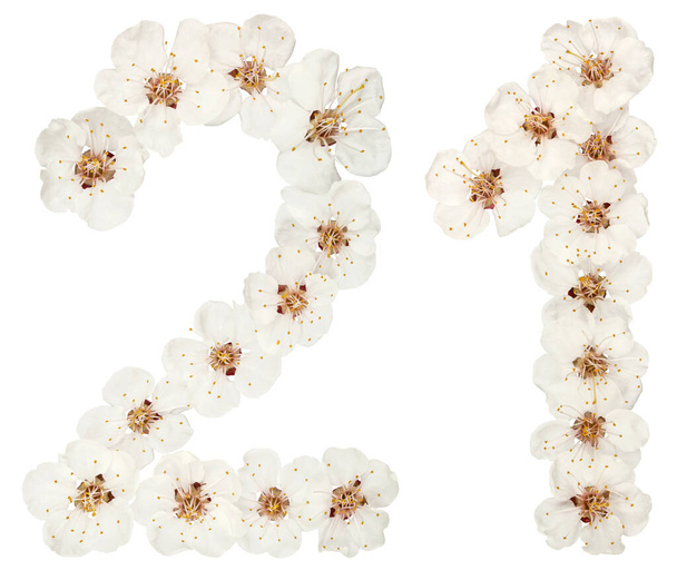 Ziffer 21, 21, aus natürlichen weißen Blüten des Aprikosenbaums, isoliert auf weißem Hintergrund - Foto, Bild