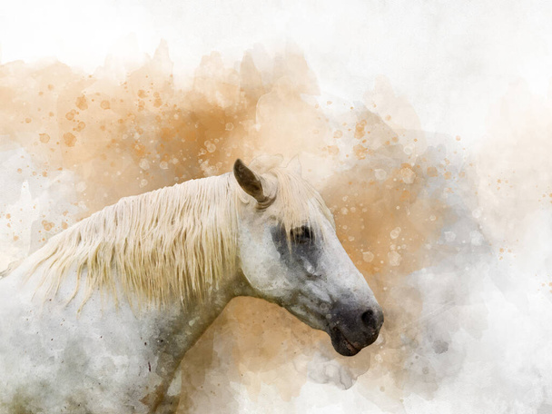 馬の頭、ファーム動物の隔離された。水彩の背景イラストセット。孤立した馬のイラスト要素. - 写真・画像