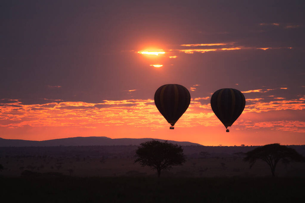 Morgendämmerung im Serengeti Nationalpark, Tansania, Afrika. Heißluftballons am Himmel. Afrikanisches Panorama - Foto, Bild