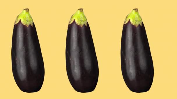 Rows of aubergines animated against coloured background - Footage, Video