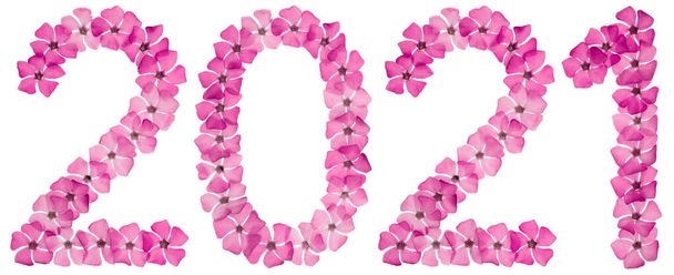Inscription 2021, from natural pink flowers of periwinkle, isolated on white background - Foto, afbeelding