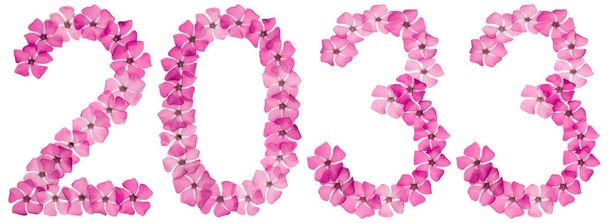 Напис 2033, з натуральних рожевих квітів опуклості, ізольовані на білому тлі
 - Фото, зображення