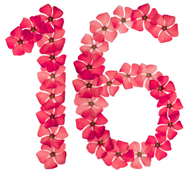 Číslo 16, šestnáct, z přírodních červených květů okvětního plátku, izolované na bílém pozadí - Fotografie, Obrázek