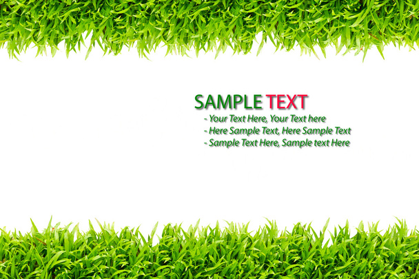 Green Grass frame isolated on white background - Foto, imagen