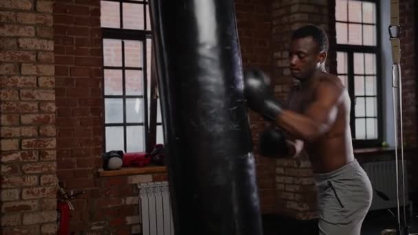 Nero atletico senza maglietta giovane pugile formazione punzonatura sul sacco da boxe - Filmati, video