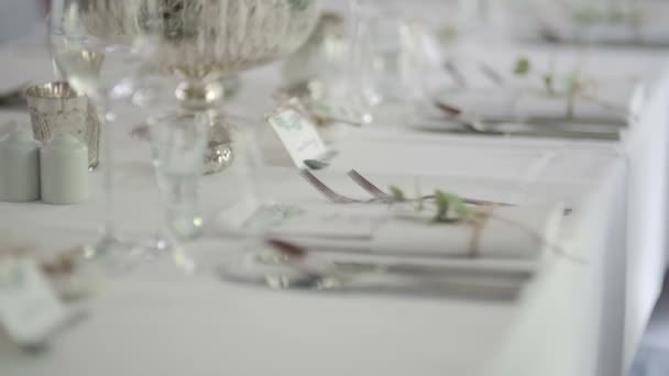Dinner, Romance, Wedding Reception, Party - Footage, Video