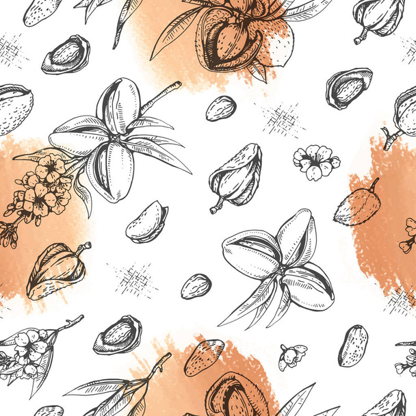 Nahtloses Muster mit Mandelkernen von Nüssen und einem Mandelzweig mit Nüssen, Früchten, Blumen.  - Vektor, Bild