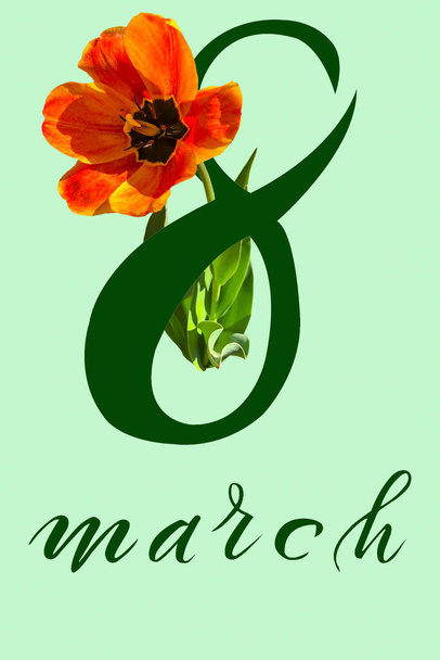 International Women's Day March 8! Flat Lay, banner, greeting card with flowers from March 8. - Zdjęcie, obraz