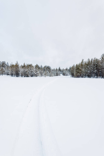 Winterlandschap. Uitzicht op het besneeuwde veld en bos op de achtergrond. Onega meer, Karelië, Rusland - Foto, afbeelding