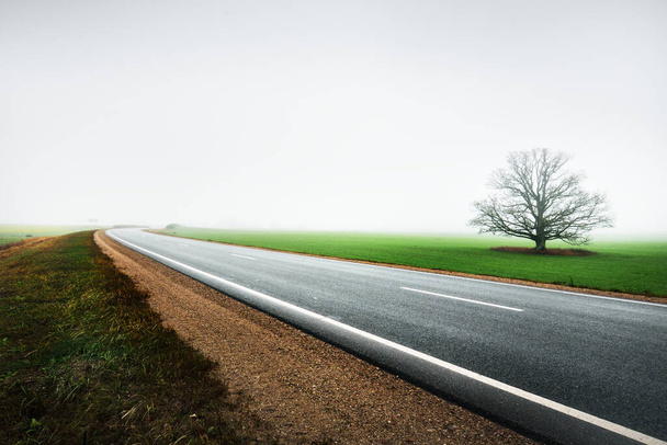 Paisaje rural. Un camino de asfalto vacío en una fuerte niebla matutina. Bosque y casas en el fondo. Polonia - Foto, Imagen
