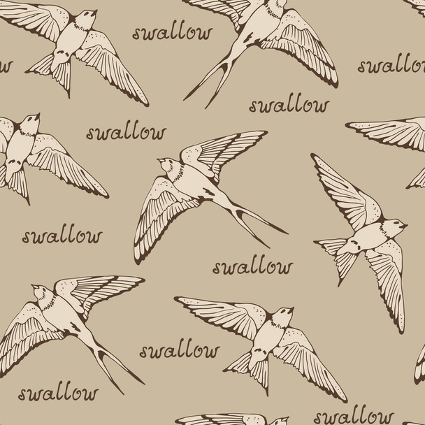 Swallow and House Martin birds vector pattern, hand drawn seamless background - Vecteur, image