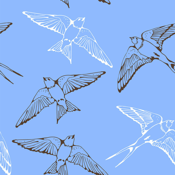 Swallow and House Martin birds vector pattern, hand drawn seamless background - Vektori, kuva