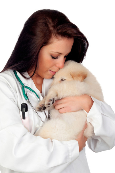 Pretty vet with a beautiful dog - Photo, image