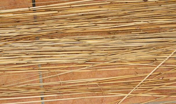 Tradiční řemeslná výroba třtiny v Sanlucar de Guadiana, Andalusie, Španělsko. Skutečná práce, výroba košů. - Fotografie, Obrázek