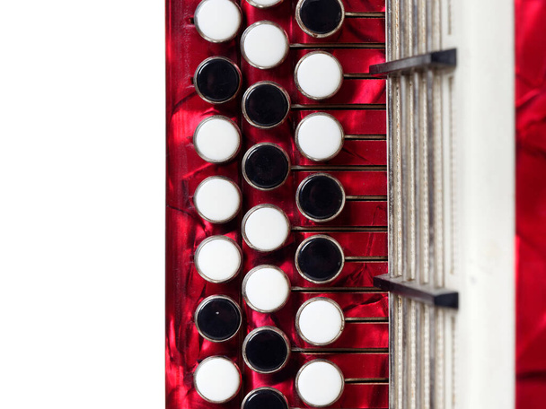 muses strumento pulsante fisarmonica 3 file rosso su sfondo bianco 2021 - Foto, immagini