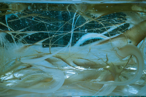 Arte abstracto con emulsiones de pintura al óleo en agua - Foto, imagen